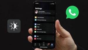 Cara Ganti Tema WhatsApp iPhone Baik dengan atau Tanpa Aplikasi