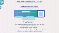 4 Cara Mudah DOWNLOAD Sertifikat Vaksinasi Covid-19 (Sumber: Yandex)