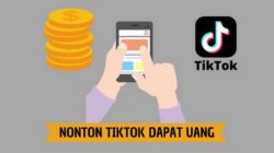 Berapa Followers Agar Bisa dapat Uang di Tiktok (Sumber: Yandex)