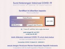 Cara Cek Sertifikat Vaksin Pakai NIKCara Cek Sertifikat Vaksin Pakai NIKCara Cek Sertifikat Vaksin Pakai NIK