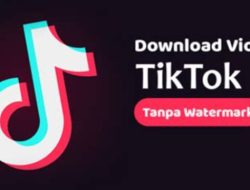 Cara Mudah Mendownload Video TikTok Tanpa Watermark