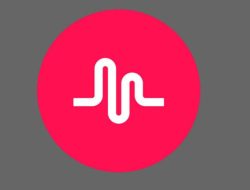 Cara Praktis Download Video TikTok Tanpa Watermark dengan Musically Down