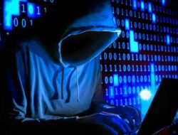 Aplikasi Hacker yang Biasa Digunakan Untuk Meretas Web