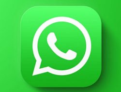 Cara Praktis Sadap WhatsApp hanya dengan Nomor WA